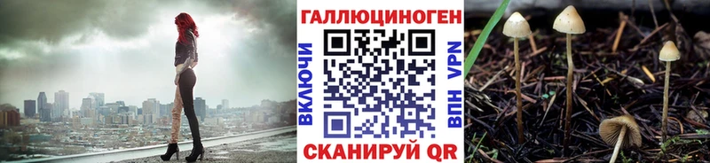 Галлюциногенные грибы прущие грибы  МЕГА ТОР  Майкоп 